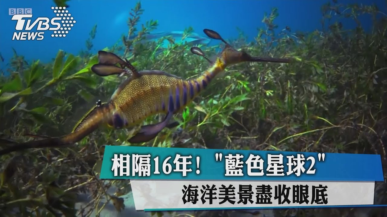 相隔16年! 「藍色星球2」海洋美景盡收眼底