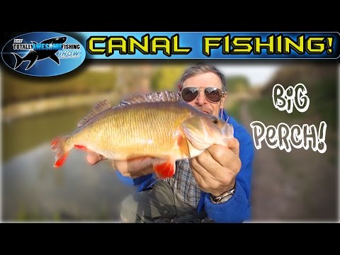 Canal Fishing - Float vs Feeder | TAFishing