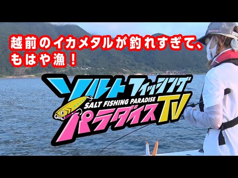 越前のイカメタルが釣れすぎて、もはや漁！（ソルパラTV・第49回2021年9月2日放送）