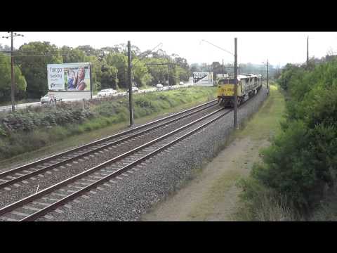 Qube's Ducks and CFCLA