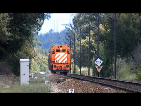 Comboio Distribuição n.º 75530 - Tramagal