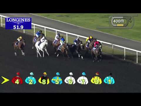 21.11.2013 Meydan (Dubai-UAE) 5.Race DUBAL Potlines Trophy - Handicap 1.200 m