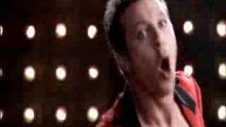 THE POTBELLEEZ - DONT HOLD BACK (NEW)