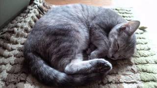 ROCIO DURCAL Y DJANGO --   LA HORA DEL ADIOS