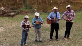 Resultado de imagen para huapangueros arribeños