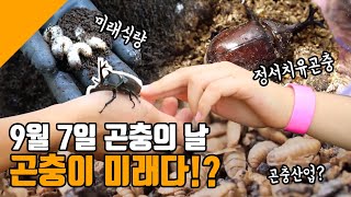 곤충이 미래다!?|9월 7일은 곤충의 날