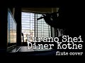 Purano Shei Diner Kotha (flute cover by RIAD)
