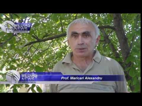 Prof. Alexandru Maricari - Tuberozele la Hoghilag
