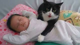 Cats Protecting Babies Like Their Little Ones!😘😸