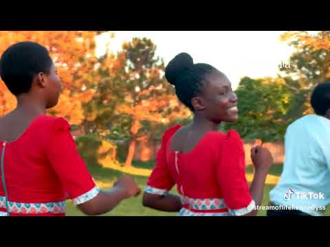 stream of life bwaba afuga