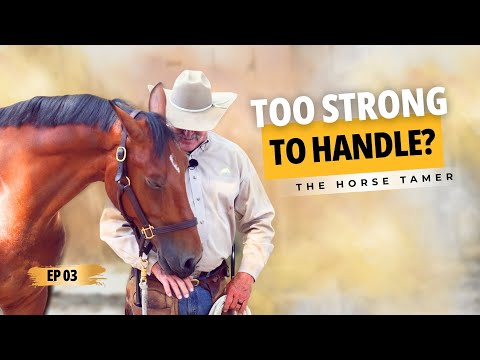Anxious Champing Horse Learns To Stand Still | Ep. 3 The Horse Tamer