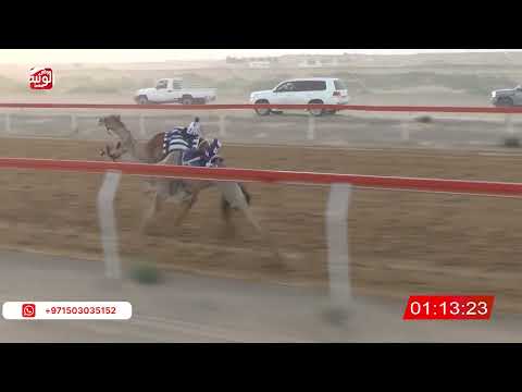  ش 3 (الشاهينيه) لـ سالم بن عبدالله بالطير 2:19 ، شارة صندوق حلفه 2026/05/10 فطامين الجبيب