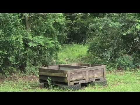 I was so excited to see a wild turkey in our backyard.  Nature is so amazing and exciting! ❤️