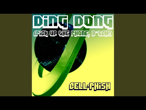 Ding Dong (Pick up the Phone, B*tch!) (Money and Fun Instrumental)