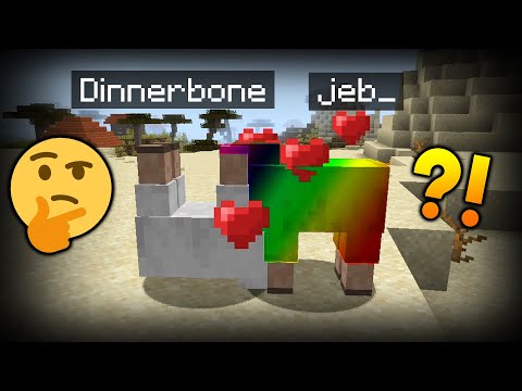 What kind of sheep will THIS create?! - Minecraft Experiment