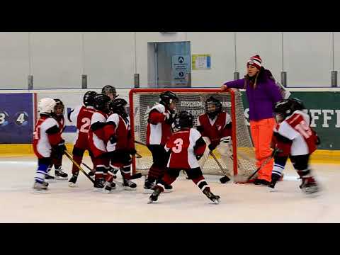 U8 - Cupa 100 Romania baby wolves