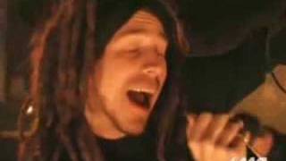 10 Years - Wasteland (Amnesty International Version)