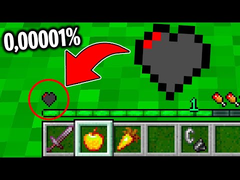 MINECRAFT MA ABBIAMO 0,000001% DI VITA! con BELLAFACCIA