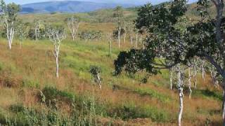 SOLDIERS OF JAH ARMY : &quot;Used to matter&quot;