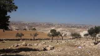 Wear Thick Shoes When Touring Palestine