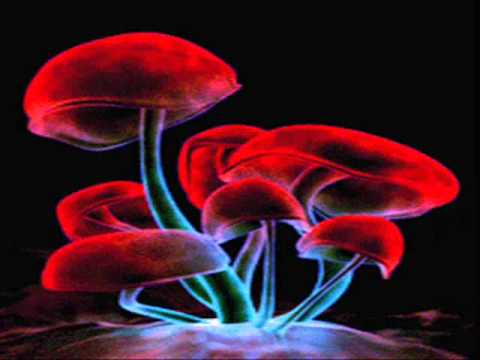 mekkanikka vs painkiller sand strom.