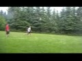 Fussball 03 05 2009