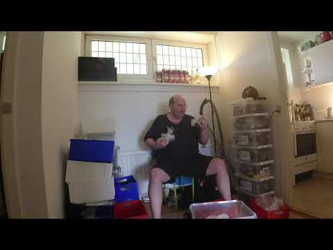 MongoTV_6236 - Kigger På Flyttekasser i Forstue Stået 7 År - Del 54 - Hedebølge - Tager Ting Fra