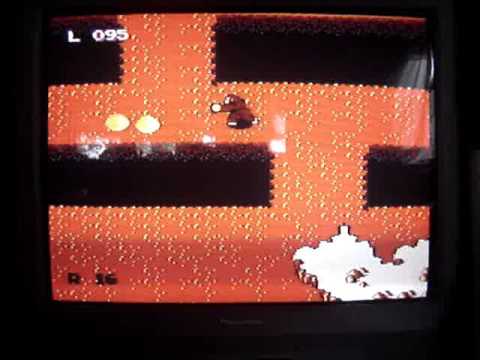 A show with Langland-Famiclone Dojo