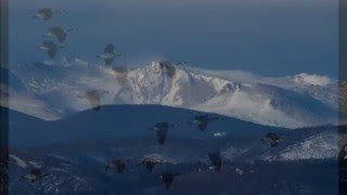 Let them praise the Lord