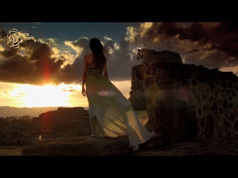 Rayan Myers - Shamed (Original Mix)