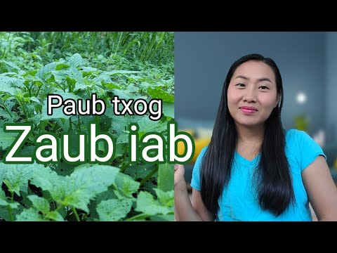 Paub txog Zaub iab by Ncais
