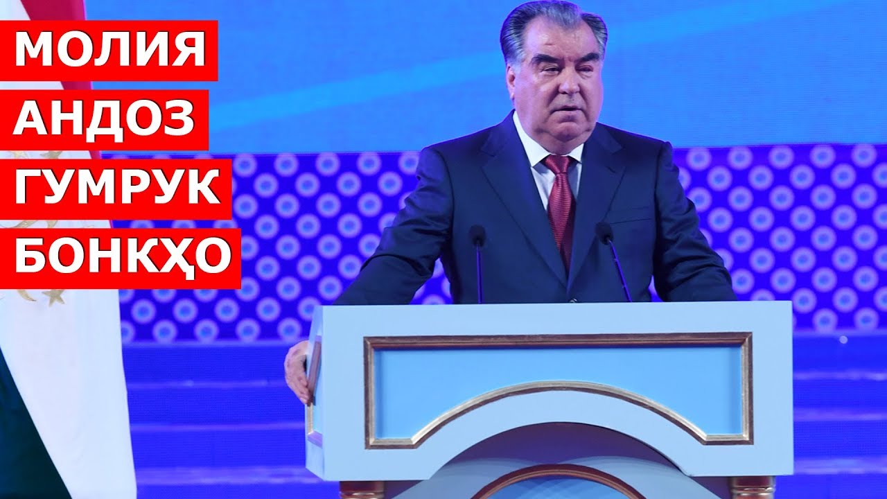 Налоговый комитет таджикистана. Картинки андоз. Андоз tj. Муовини раиси кумитаи кор бо чавонон. Кумитаи андоз логотип.