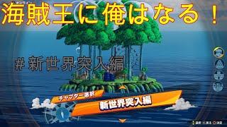 【ワンピース海賊無双４】海賊王になる予定の漢！#新世界突入編【KoC オヤビン＆コビン】