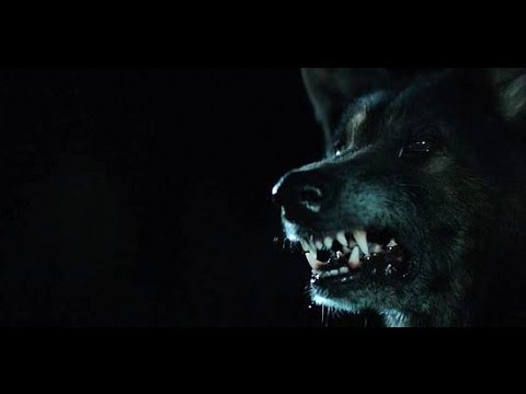 A Alcateia - Filme HD completo baseado em uma história real (Dublado)