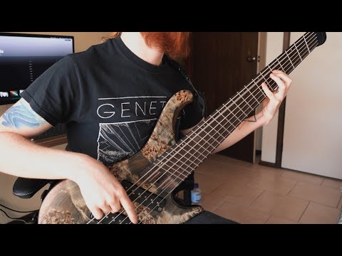 Демонстрация звучания бас-гитары Ibanez EHB1506MS