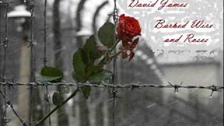David James - Barbed Wire And Roses (Pinmonkey Cover)