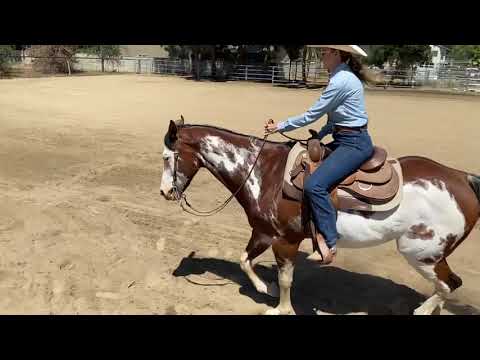 Kali McCormick & “A Little Bit Real” Green Rider Ranch Riding- Horse Online Classic