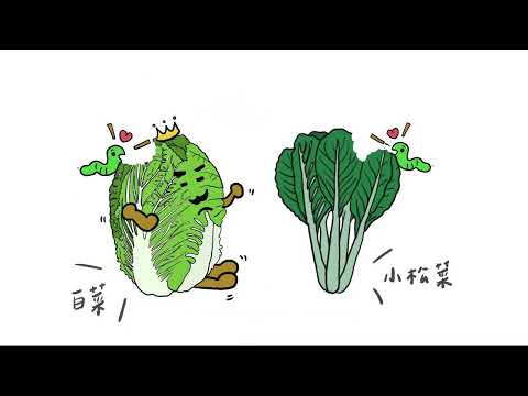 有機蔬菜產地到餐桌(第九集：有機資材怎麼用)