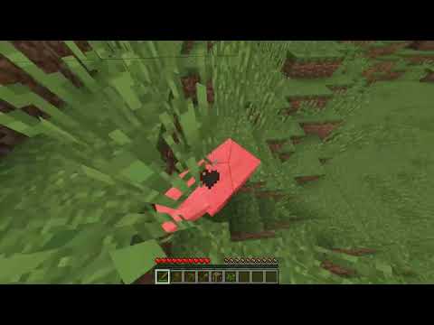 Episode 1: A Fresh Start