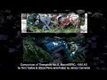 Illustrated Comparison Between James Cameron S Avatar With FernGully And Timespirits