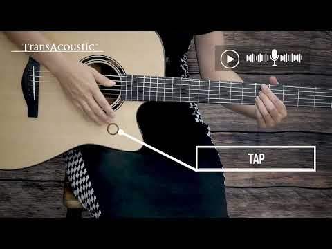 TAG3 C Quick Guide 04: Using the Looper (Basic)