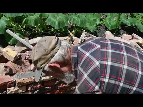 Jani bácsi szürreális bugaszegi birodalmát egyszer látnod kell | nlc