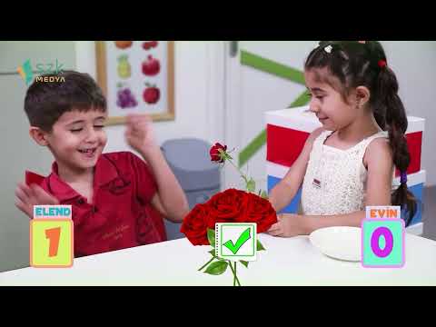 Bêhn kirin | Sehek | Hêlîna Zarokan