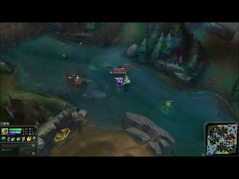 Zeri Phantom Dancer Bug