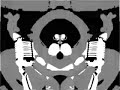 Klaskyklaskyklaskyklasky Gummy Bear Movie Maker In G Major 11