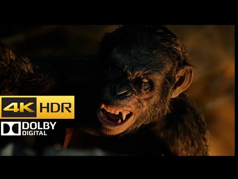 Dawn of the Planet of the Apes - The Death of Koba (4K HDR)