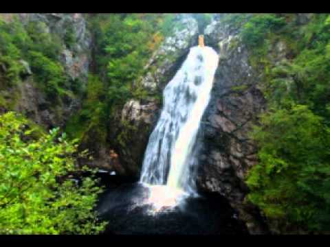 Serenade The Elegance of Pachelbel