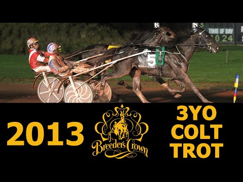 2013 Breeders Crown - Spider Blue Chip - 3CT