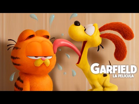 ¿Quién dijo que el perro y el gato se lleven mal?