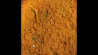 Canned Pumpkin Depackaging